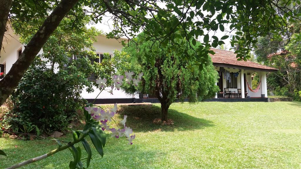 4 Seasons Guesthouse Хиккадува Экстерьер фото